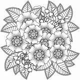 Coloring Book For Adult Flower Art – Online Page HiColoringcom sketch template