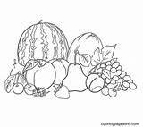 Tropical Fruits Mix Coloring Page  Free Printable Pages sketch template