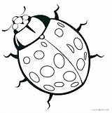 Free Printable Ladybug Coloring Pages At GetColoringscom  sketch template