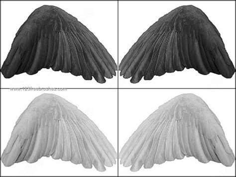 Black Angel Wings Photoshop Brushes | Photoshop Free Brushes | 123Freebrushes