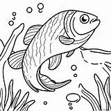 Trout Coloring Page 48283 38178 sketch template