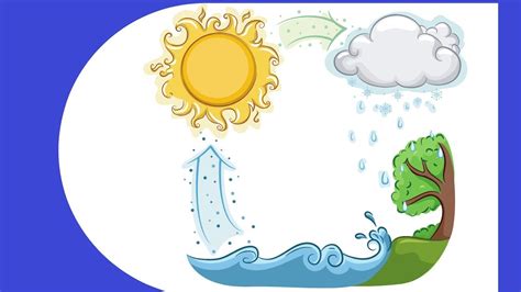 Water cycle Steps - YouTube