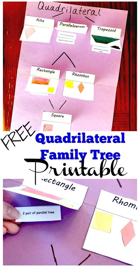 FREE Printables to Help You Create a Quadrilateral Family Tree