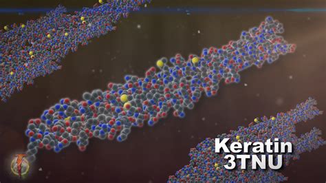 3d 3tnu keratin protein molecule model