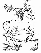 Cute Horse Coloring Pages To Print sketch template