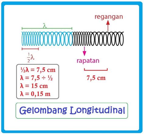 Contoh Gelombang Longitudinal - 54+ Koleksi Gambar