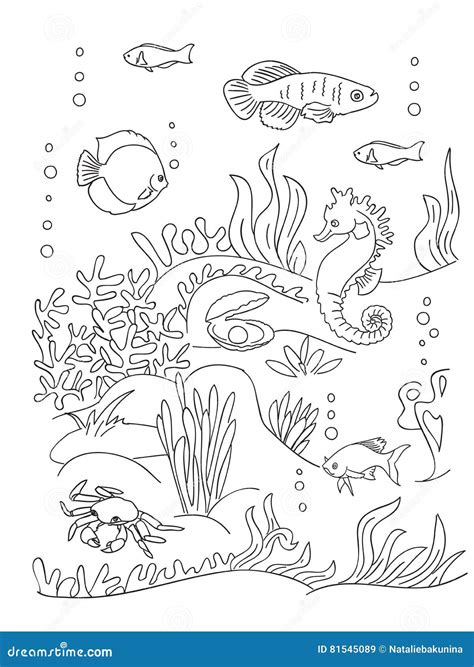 Sea Bottom Coloring Book Page. Stock Vector - Illustration of deep, coral: 81545089