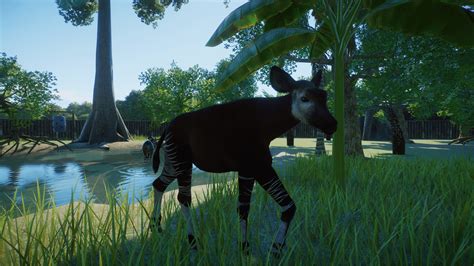 okapi habitat : r/PlanetZoo