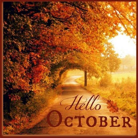 Beautiful Fall Leaves, Hello October Image Pictures, Photos, and Images ...