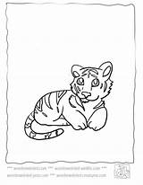 Free Baby Tiger Coloring Pages Download  sketch template