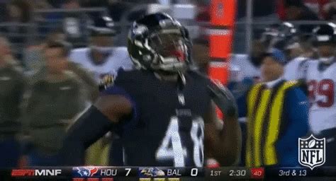 Baltimore Ravens Football GIF by NFL - Find & Share on GIPHY