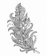 Peacock Feather Coloring Pages sketch template