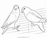 10 Cute Bird Coloring Pages For Animal Lovers  Craze sketch template