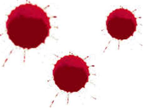 Blood staining and clothing analysis - Essential Forensics - Writing.ie