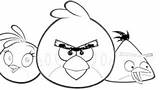 Coloring Pages Angry Birds Free And Downloadable sketch template