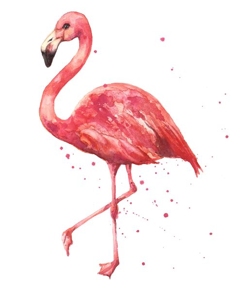 Flamingo | Aquarelkunst, Geweldige tatoeages, Aquarel