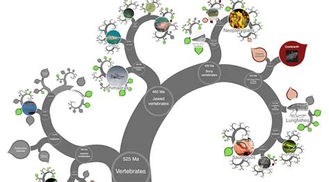 Click, zoom and explore the tree of all life forms on Earth | Technology News - The Indian Express