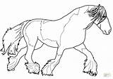 Draft Horse Coloring Pages sketch template