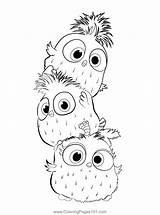 Hatchlings Angry Birds Coloring Page For Kids  Free sketch template