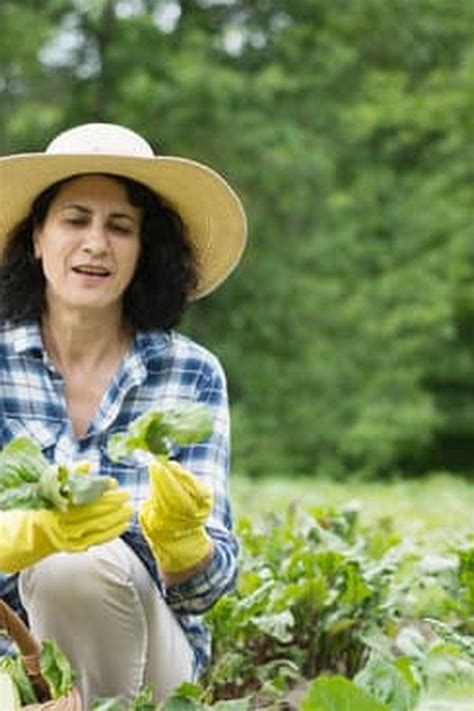 Southeast Texas Vegetable Gardening — Vegetable Gardening News