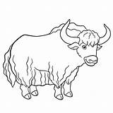 Coloring Picture Of Yak sketch template