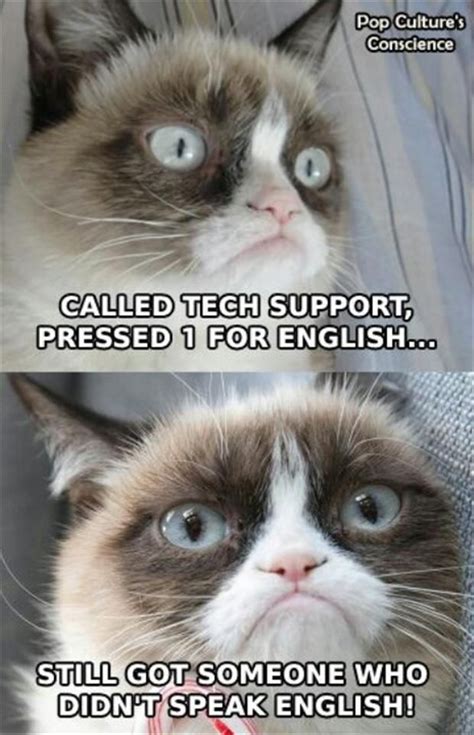 Grumpy Cat Pictures With Captions | grumpy cat, tech support | Grumpy ...