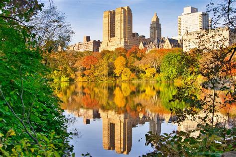 Central Park Fall Foliage Guide | 2023 Best Locations & Foliage Map