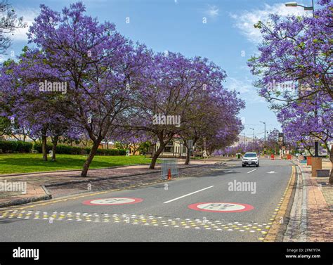 Abha, Saudi Arabia – April 1st 2021: Art Street the amazing attraction ...