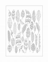 Feather Coloring Pages – Printable FREE sketch template
