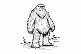 Yeti Coloring Page For Adults Graphic By Forhadx5 · Creative Fabrica sketch template