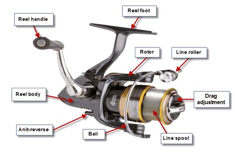 Reel Diagrams & Parts Lists