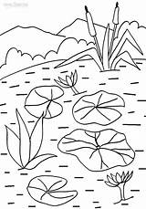 Pond Pages Coloring sketch template