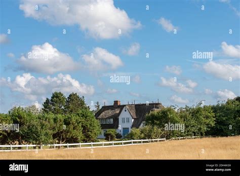 Thatched roof house Stock Photo - Alamy