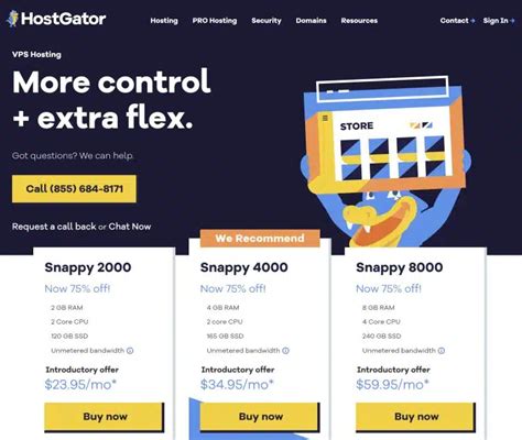 HostGator: Comprehensive Review For Business Owners