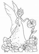 Fairy Coloring Pages 120 Free Printable Beautiful sketch template