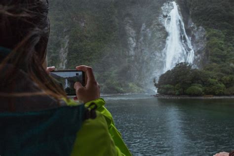 Milford Sound: Waterfalls, Wildlife, and Rainforest Cruise | GetYourGuide