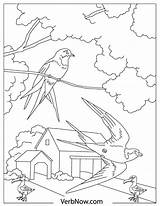 Free Bird Coloring Pages For Download PDF  VerbNow sketch template
