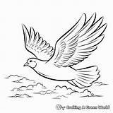 Peace Dove Coloring Pages  Free & Printable sketch template