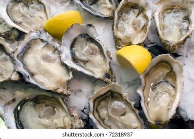 Oyster Atlantic Ocean Stock Photo 72318937 | Shutterstock