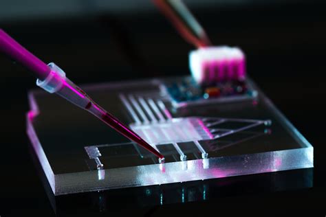 Organ-on-a-chip | Axion Biosystems