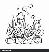 Seaweed Coloring Pages At GetColoringscom  Free Printable Colorings sketch template