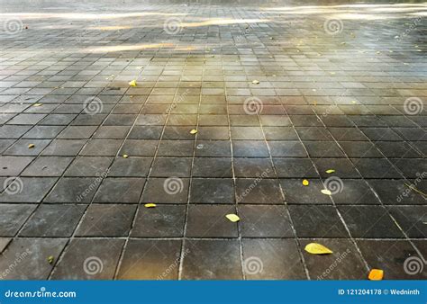 Patterns on a Tile Floor or Walkway Stock Photo - Image of grain, patterns: 121204178