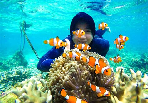 Selfie Bareng Nemo? Di Sini Tempatnya