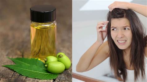 Neem oil for lice: How to get rid of hair lice naturally | HealthShots