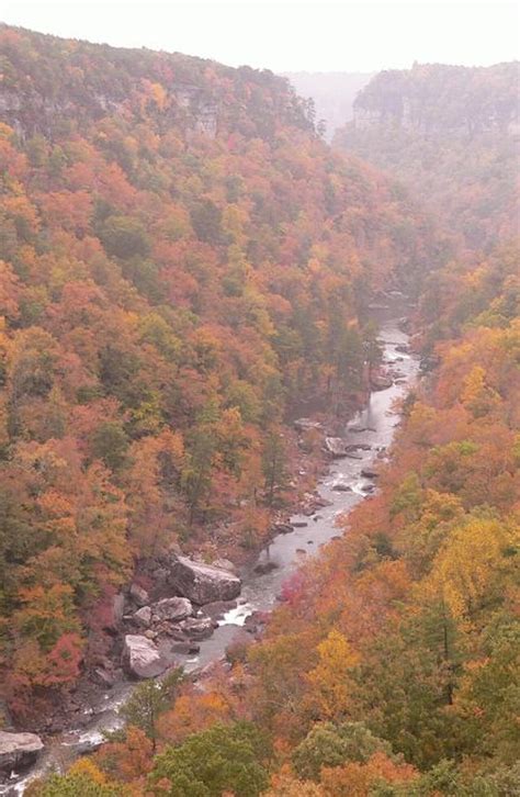 Little River Canyon free Beginning Birding Walk Saturday - al.com