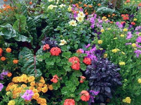 How to Plant an Edible Landscape | INSTALL-IT-DIRECT