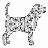 Animal Mandala Coloring Pages At GetDrawings  Free Download sketch template