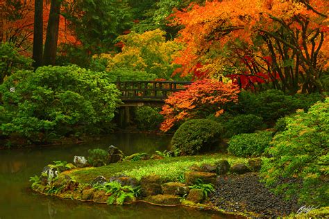 F289 Fall Color and Classic Bridge, Portland Japanese Garden, Oregon ...