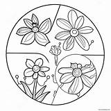 Plant Life Cycle Coloring Page 62283 49271 sketch template