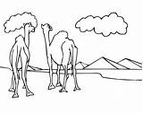 Two Camels Look At Pyramids coloring Page  ColouringPages sketch template